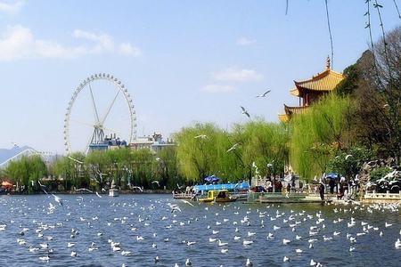 云南旅游特价团 【昆明出发】云南特价旅游|云南特价游线路|昆明石林大理丽江6天5晚游(图2)