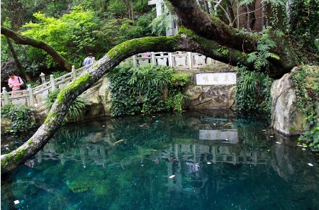 云南旅游团 【昆明出发】云南特价旅游|云南特价游线路|昆明石林大理丽江6天5晚游(图6)