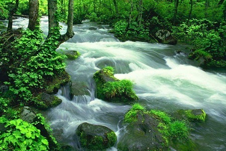 湖南旅游费用|长沙韶山张家界天门山凤凰古城