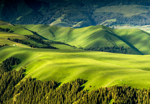 新疆旅游哪里好玩|天池吐鲁番库尔勒罗布人村