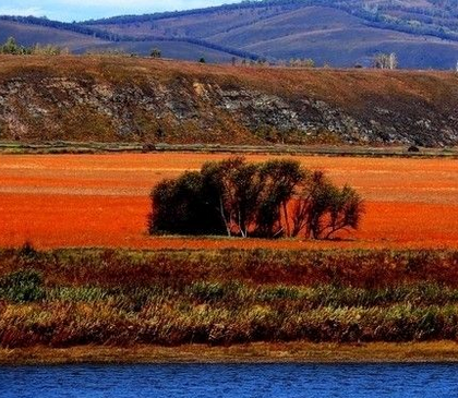 夕阳红旅游团|夕阳红四川全境双卧10日游