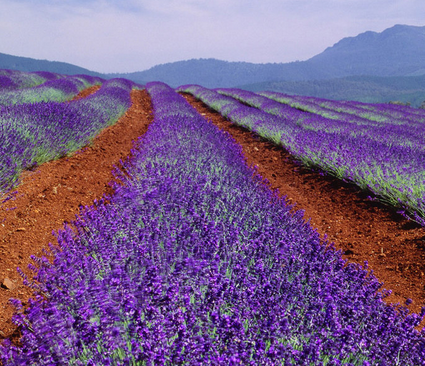 意大利旅游景点|希腊意大利12天11晚精品游