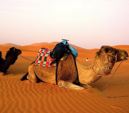 埃及土耳其旅游团|埃及土耳其全景18天游(广州