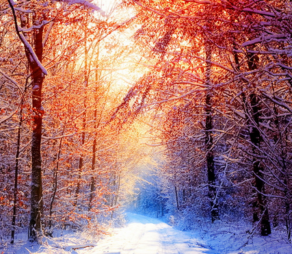 昆明到澳大利亚旅游|完美之旅澳新11天10晚游