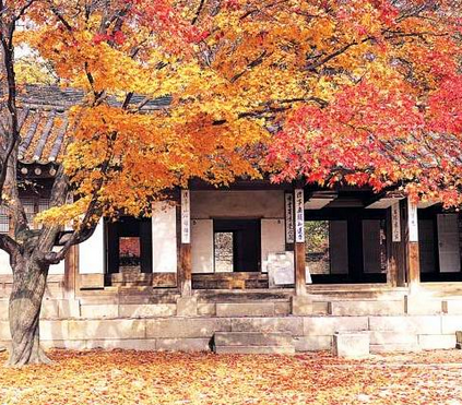 韩国济州岛旅游|淳享韩国济州岛6天5晚游