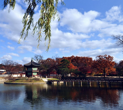 邮轮旅游价格|邮轮6天5晚游