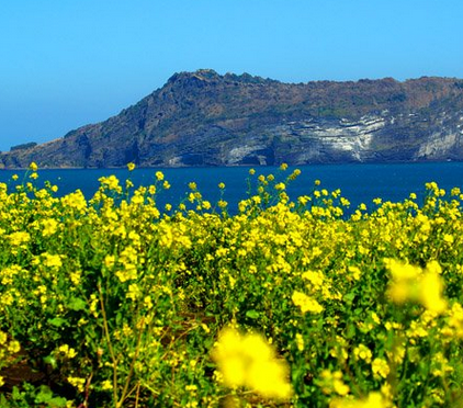 邮轮旅游费用|昆明上海济州釜山福冈(双飞)邮轮