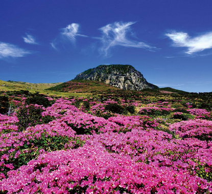 邮轮旅游费用|昆明上海济州釜山福冈(双飞)邮轮