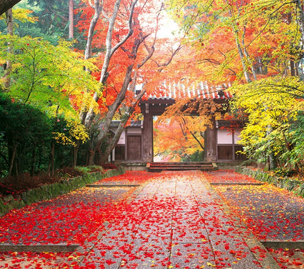 昆明到日本冲绳旅游|昆明上海济州冲绳(双飞)邮