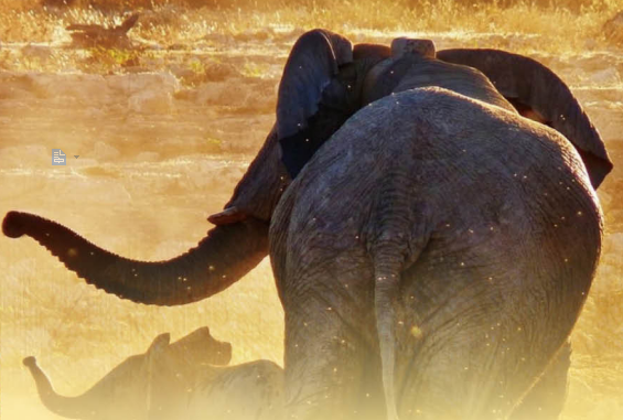 南非全景游|昆明到南非旅游费用| 南非一地12天