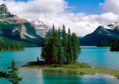 成都四日游|成都、熊猫基地、三星堆双飞四日