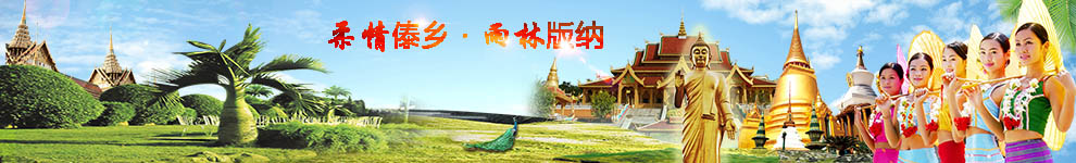 ��˫��������