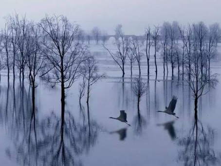 云南品质游线路|昆明大理丽江香格里拉西双版