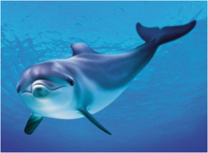 香港澳门自由行费用|直飞香港5天自由自在3+2